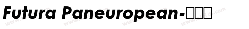 Futura Paneuropean字体转换